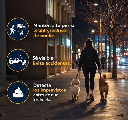 Correa extensible para perros con luz LED · 5 metros