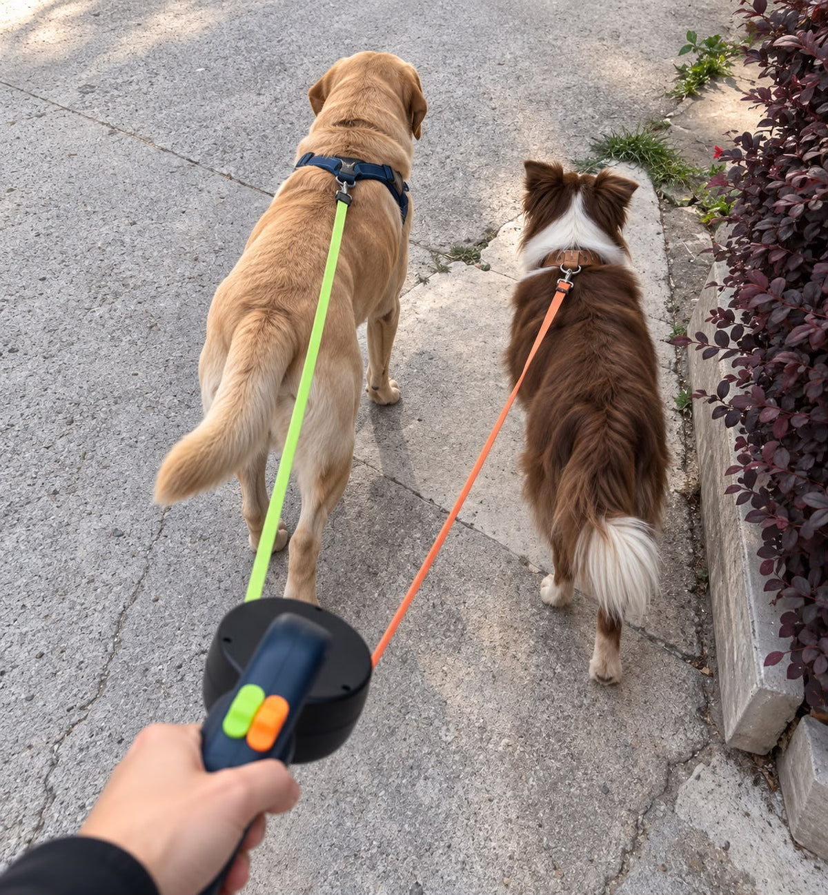 Correa doble para perros antienredos con luz LED y dispensador de bolsas